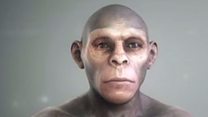 Homo sapiens “постарішав” на 100 тисяч років