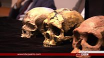 عصري انسانانو کله وده کړې؟