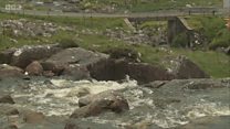 "Briseadh-dùil" mu BhPA nan Eilean Siar