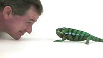My project to photograph the world's animals