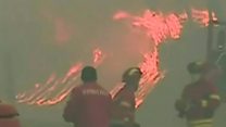 Forest fires kill 24 in central Portugal