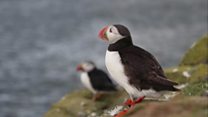 The life of a ranger on a remote island
