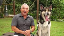Top tips for keeping your dog cool