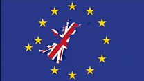 A year in politics after Brexit vote
