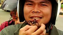 Deep fried tarantula, anyone?