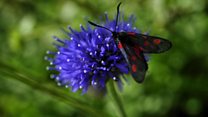BBC News NI pictures of the week