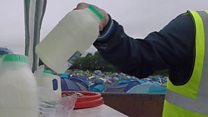 Meet the milkmen of Glastonbury