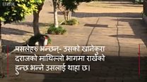 ब्राजीलमा जनावर बेच्ने पसल 'पेट शप'मा आफ्नो खाना आँफै लिन जाने कुकुर पीटुकोको कथा।