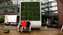 Designers reinvent the tree to beat pollution