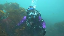 Charting the changes off Lundy's coastline