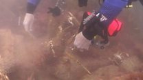 Animals rescued from ghost fishing gear