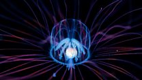 The secret world of plankton