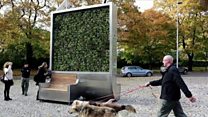 ICYMI: Moss can clean up city air