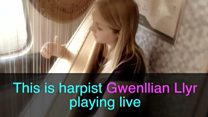 Harpist gives performance on train