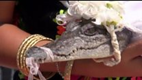 Mexican mayor marries crocodile