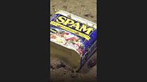 80 years of Spam