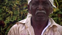 How the war on tobacco is hurting farmers