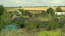 Church plans to sell village allotments