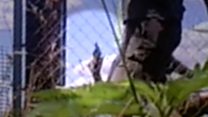 Fence dispute leads to mower shootout