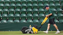 What’s going on with the grass at Wimbledon?