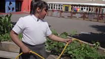 The edible playground