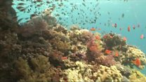 UN calls for new ocean rules