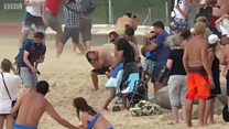 Ажал шамалы ойногон кумдуу жээк