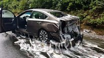 Eel slime cascades over US road