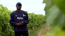 Des terrains de foot aux vignobles