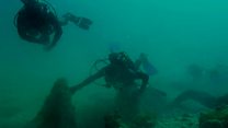 Ancient underwater forest discovered in US