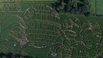 Star Wars-inspired maize maze opens in York