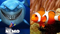 There's something fishy about the plot of Finding Nemo