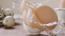 Food allergies: True v False