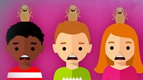 Is your mobile phone going to give you head lice?