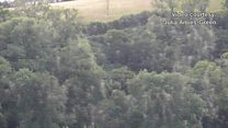 Thousands of bees swarm on Exmoor