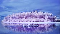 Where colour is a figment of the imagination