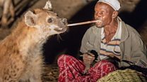 A Harar, la hyène, meilleure amie de l’homme