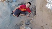 Boy finds million-year-old fossil by tripping over it