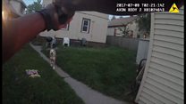 Minneapolis officer shoots two dogs