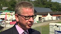 Gove 'pragmatic' over farming and Brexit