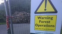 Girl, 8, dies after being trapped by logs