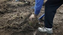 'Eureka!' moment at film site dig
