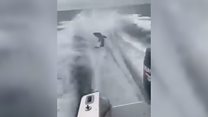 Boat dragging shark sparks controversy