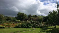Weather for the week ahead