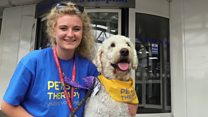 Hospital welcomes furry therapist