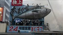 Fire at world's biggest fish market