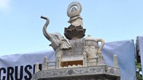 'Five baby elephants died to make this'