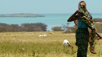 A rare visit to the Dahlak Archipelago