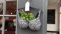 Hanging 'bra-skets' pop up across town