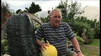 Giant marrows and monster pumpkins